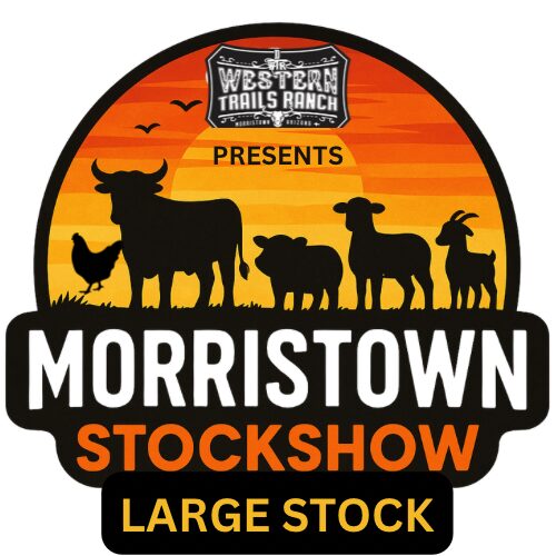 Morristown Large Stock