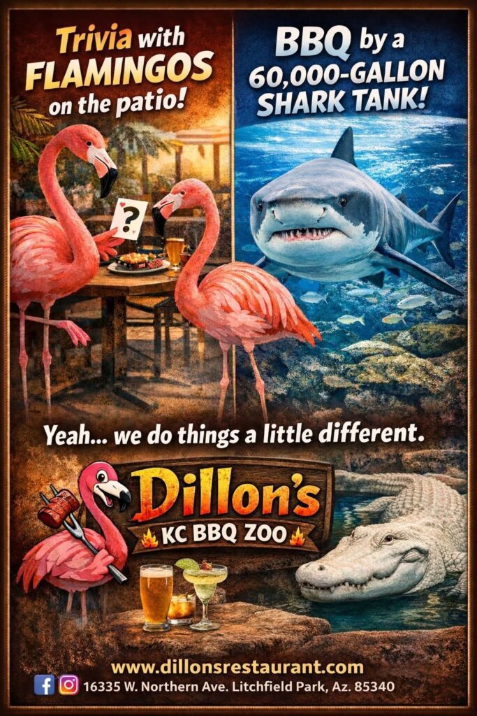 Dillon's at Wildlife World Zoo 2026